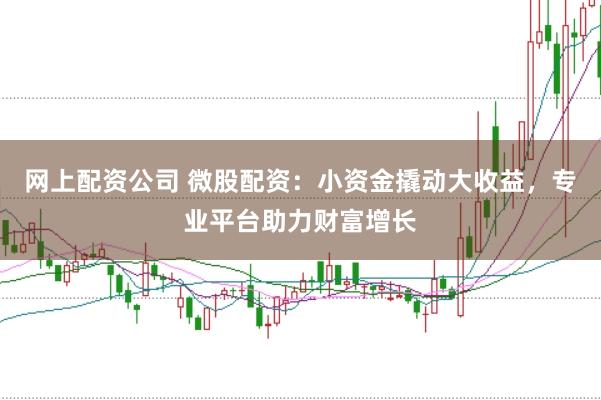网上配资公司 微股配资：小资金撬动大收益，专业平台助力财富增长