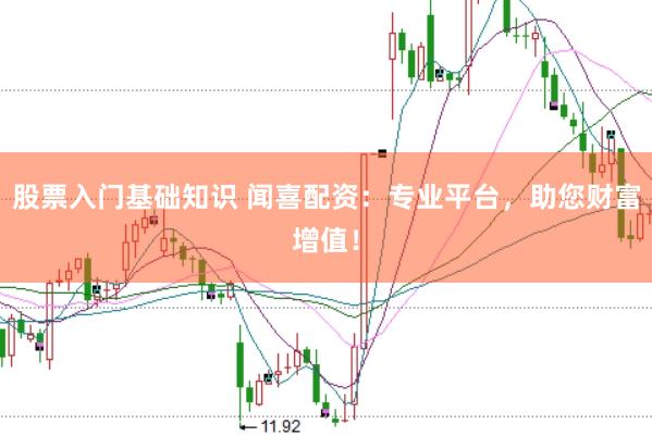 股票入门基础知识 闻喜配资：专业平台，助您财富增值！