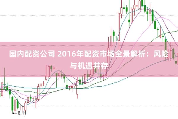 国内配资公司 2016年配资市场全景解析：风险与机遇并存