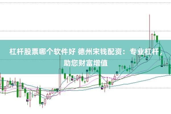 杠杆股票哪个软件好 德州宋钱配资：专业杠杆，助您财富增值