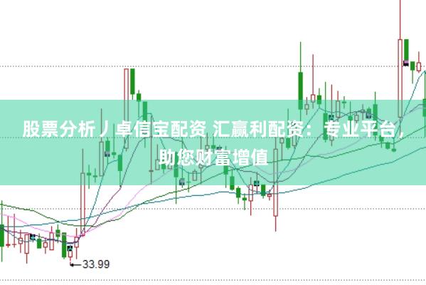 股票分析丿卓信宝配资 汇赢利配资：专业平台，助您财富增值