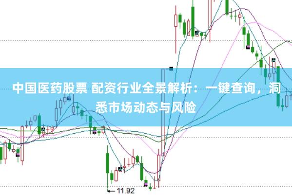 中国医药股票 配资行业全景解析：一键查询，洞悉市场动态与风险