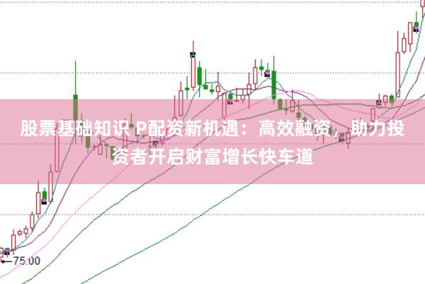 股票基础知识 P配资新机遇：高效融资，助力投资者开启财富增长快车道