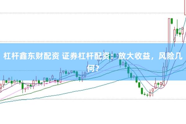 杠杆鑫东财配资 证券杠杆配资：放大收益，风险几何？
