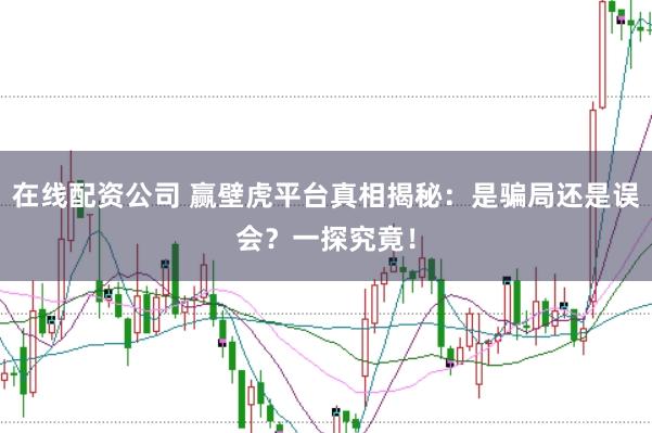 在线配资公司 赢壁虎平台真相揭秘：是骗局还是误会？一探究竟！